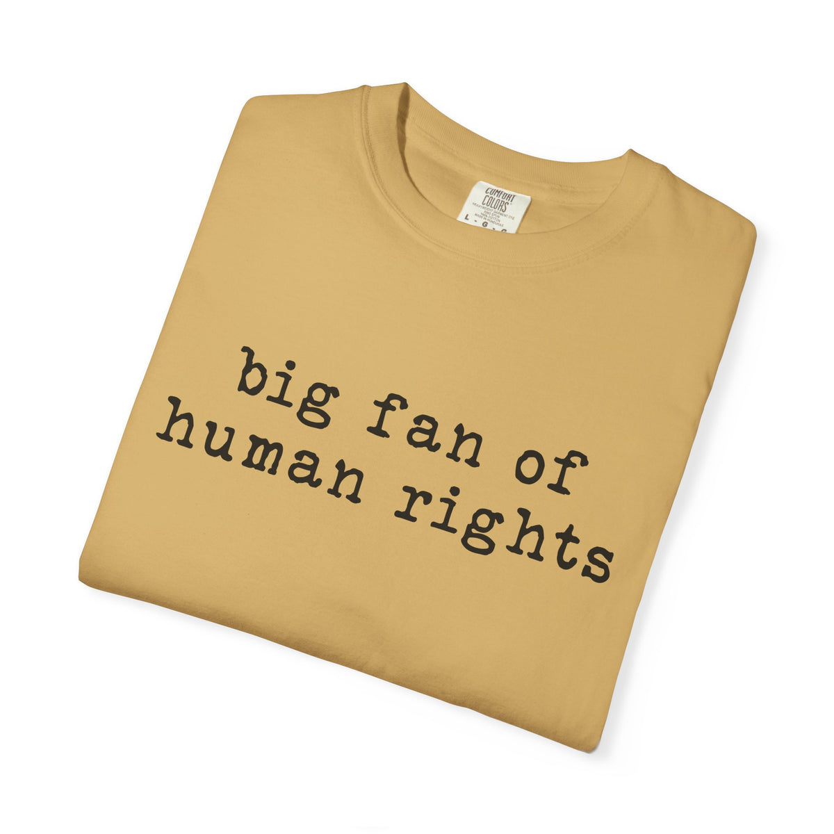 Big Fan of Human Rights T-Shirt
