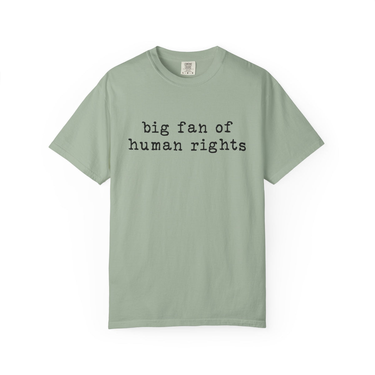 Big Fan of Human Rights T-Shirt