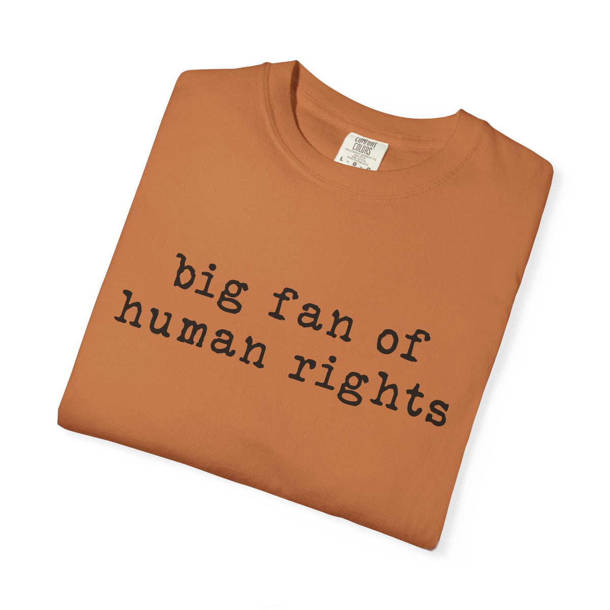 Big Fan of Human Rights T-Shirt
