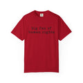 Big Fan of Human Rights T-Shirt