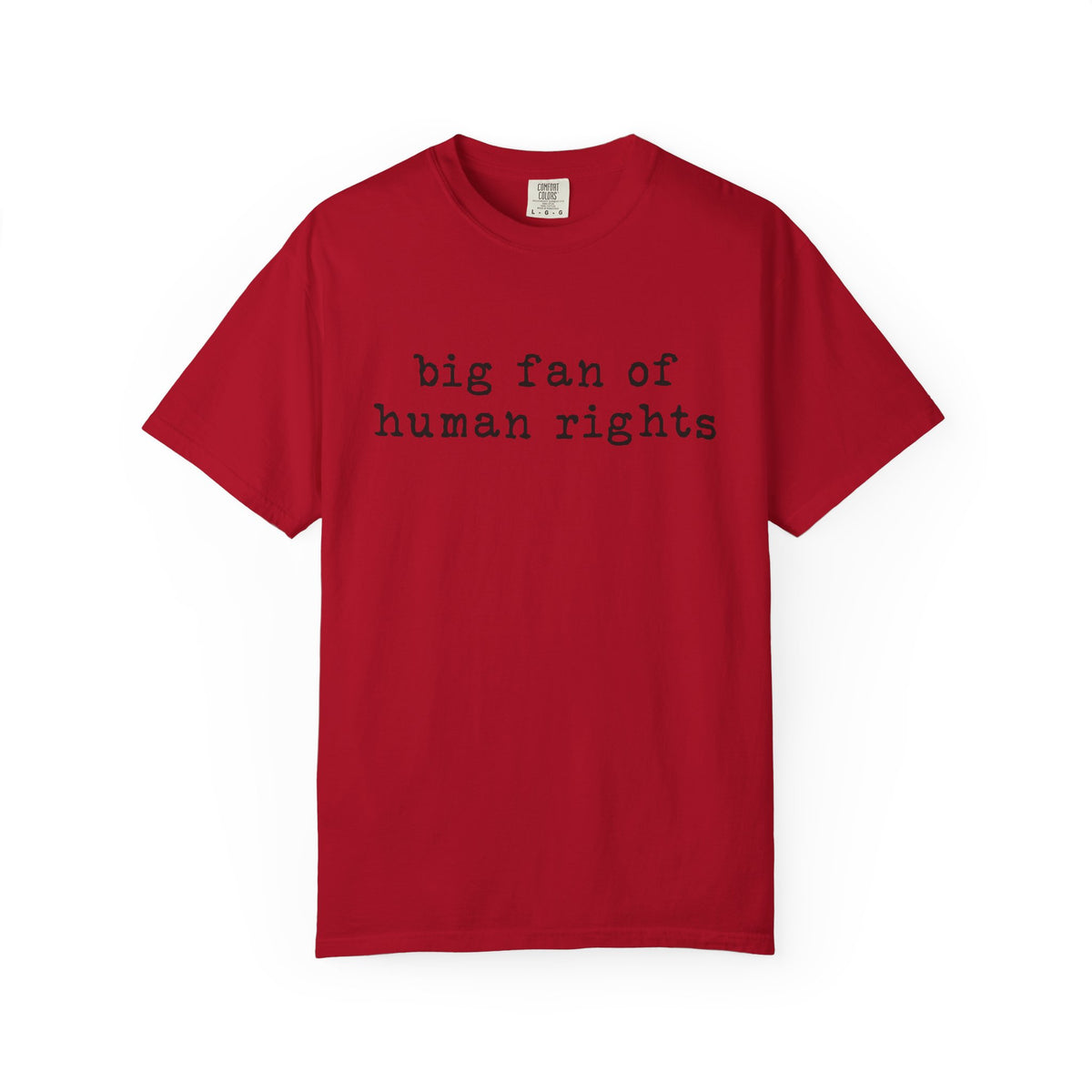 Big Fan of Human Rights T-Shirt
