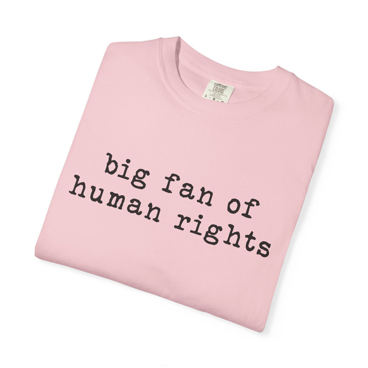Big Fan of Human Rights T-Shirt