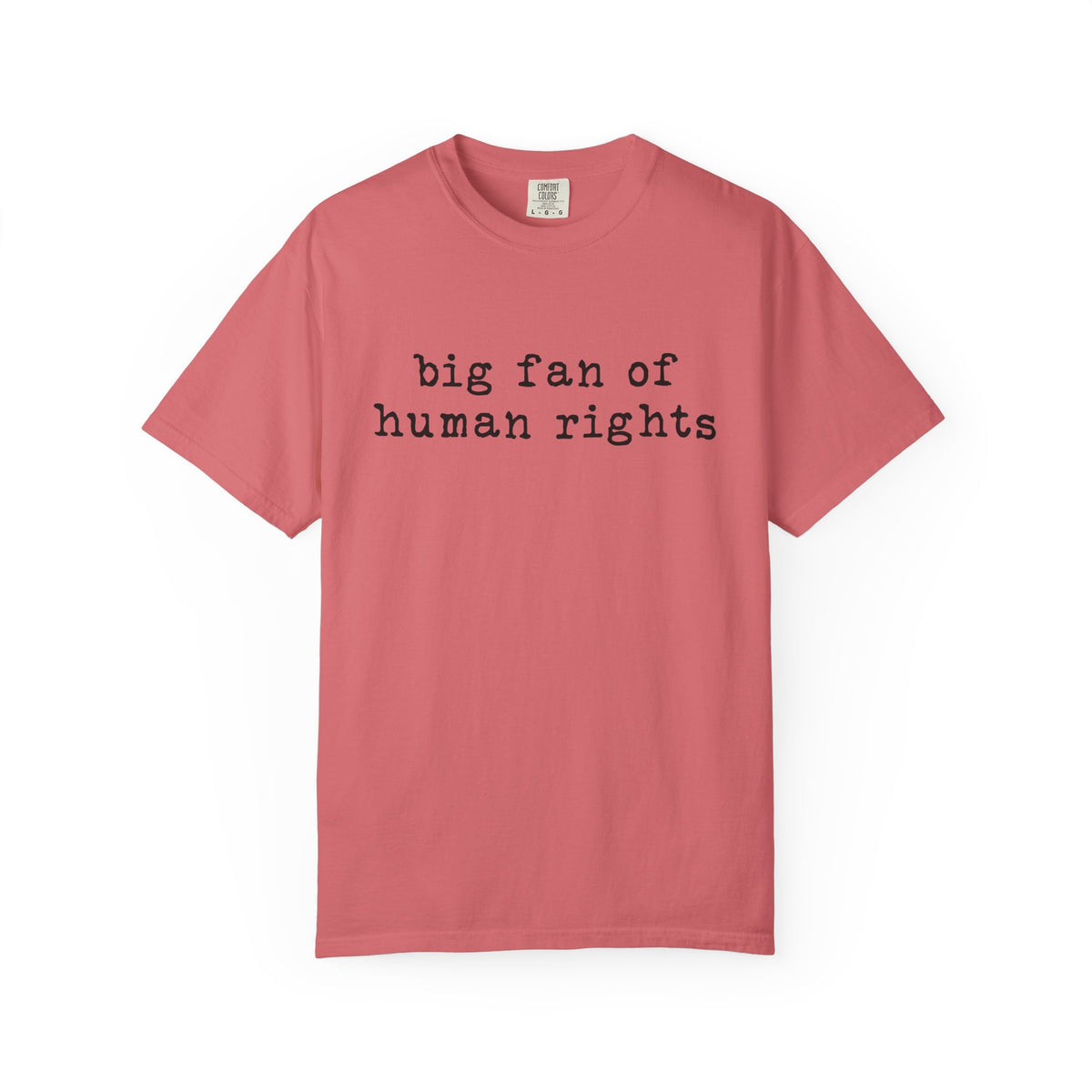 Big Fan of Human Rights T-Shirt