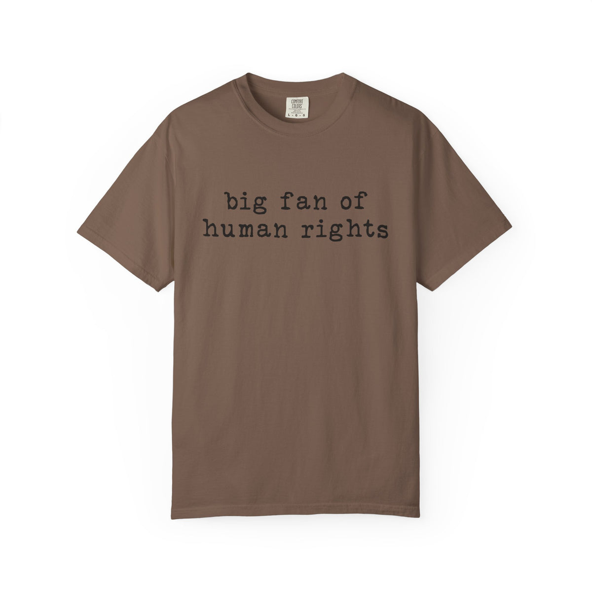 Big Fan of Human Rights T-Shirt