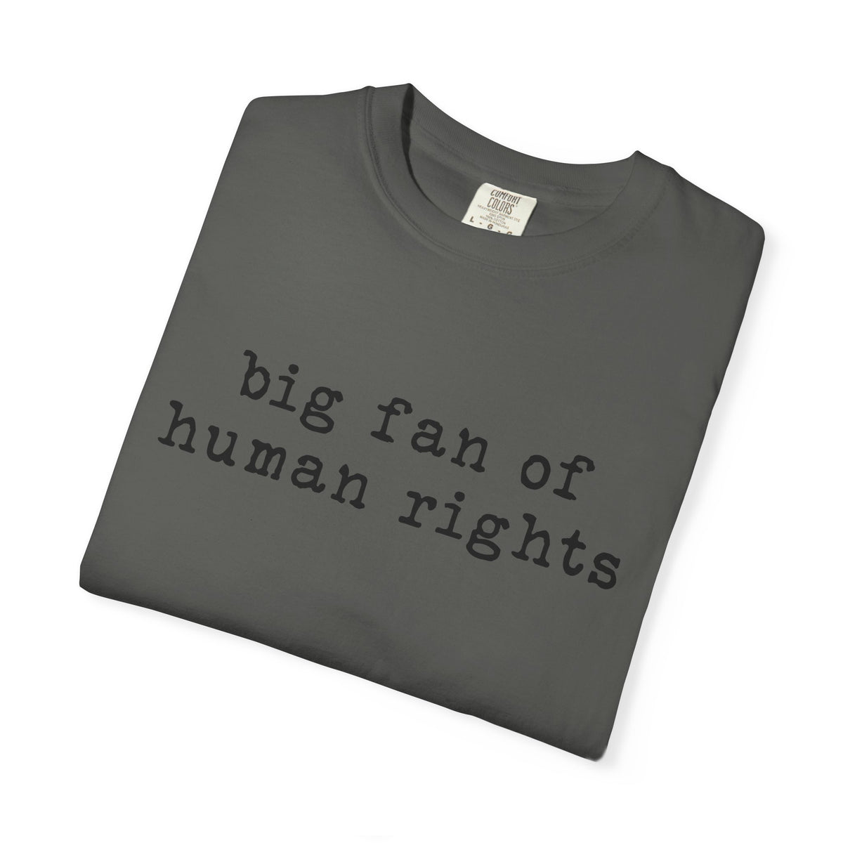 Big Fan of Human Rights T-Shirt