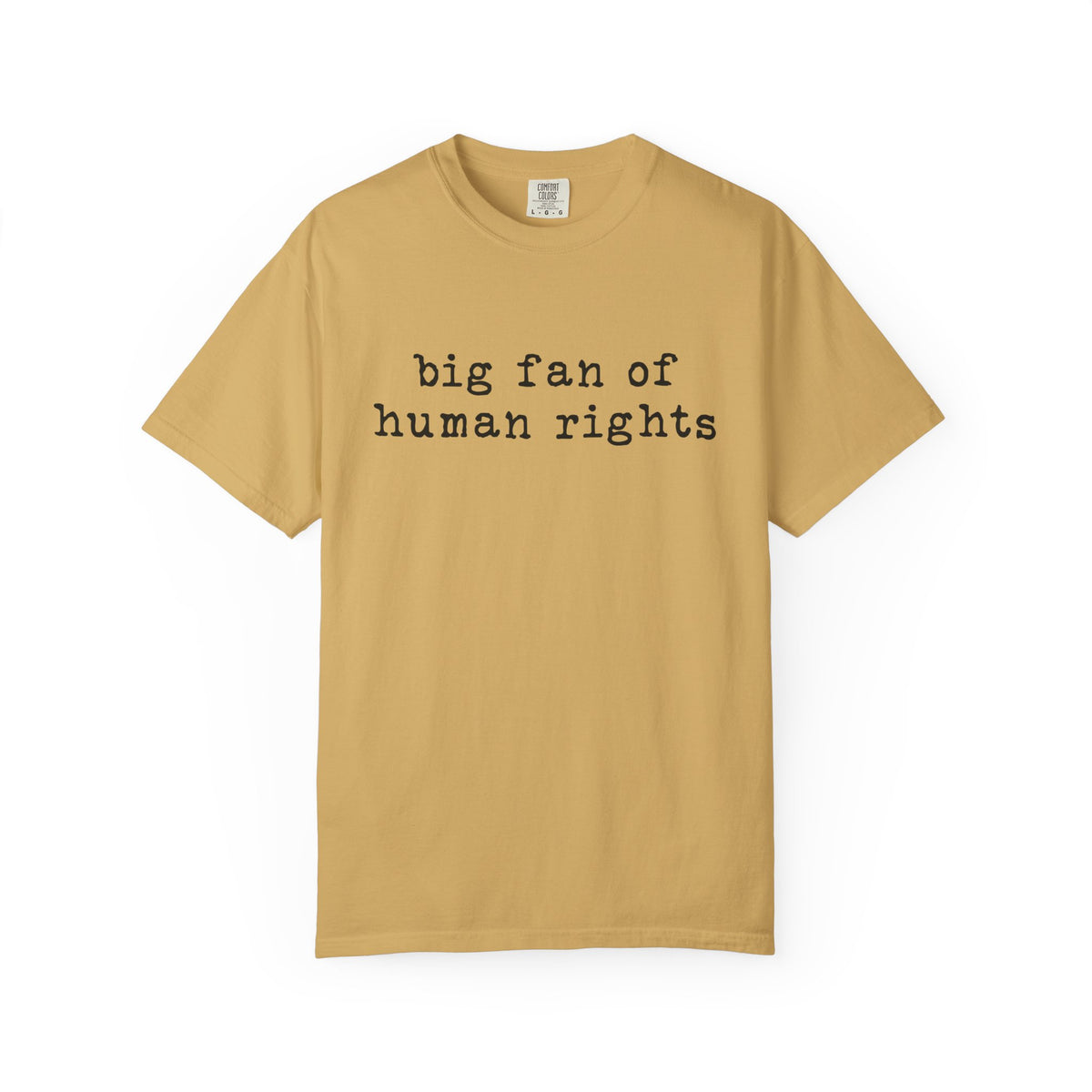 Big Fan of Human Rights T-Shirt