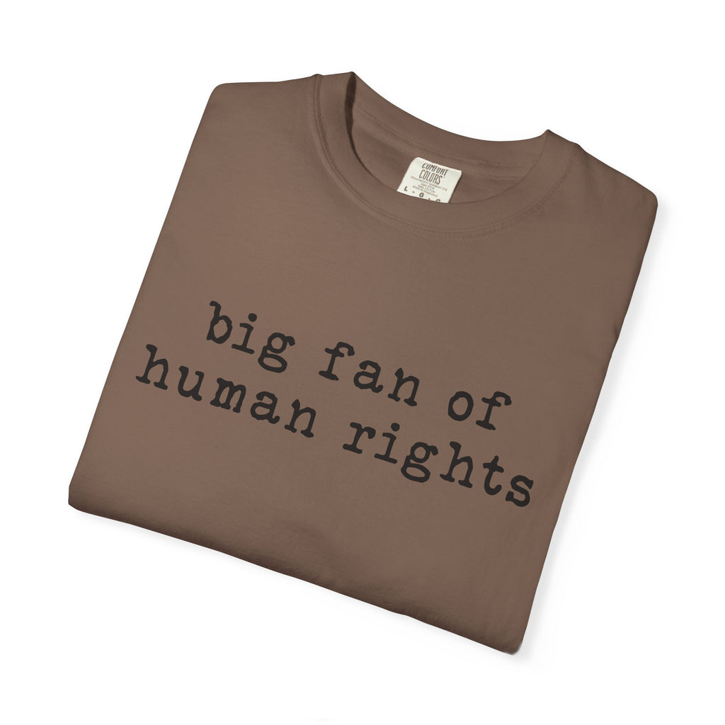 Big Fan of Human Rights T-Shirt