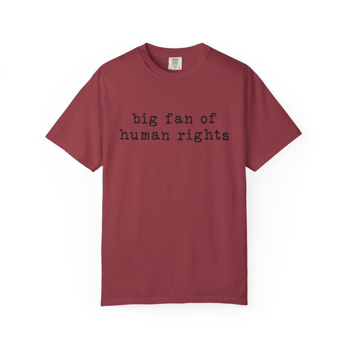 Big Fan of Human Rights T-Shirt
