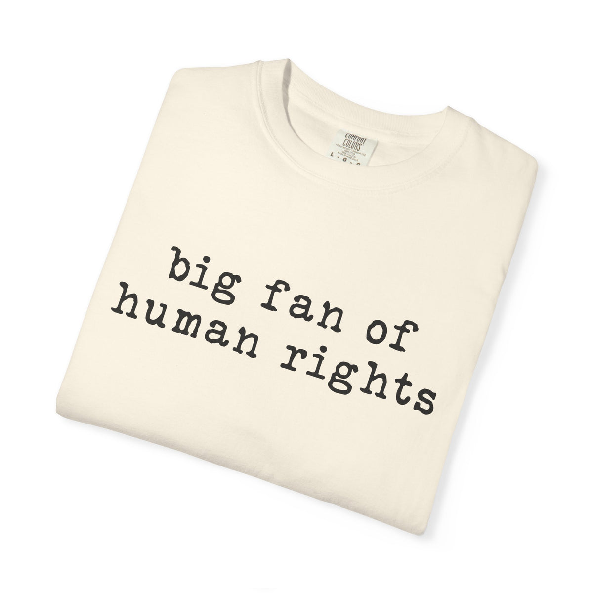 Big Fan of Human Rights T-Shirt