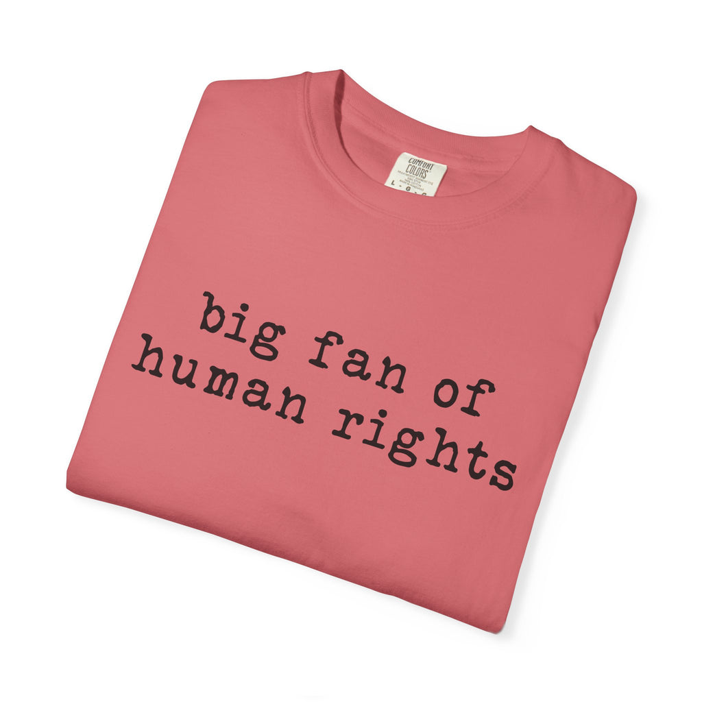 Big Fan of Human Rights T-Shirt