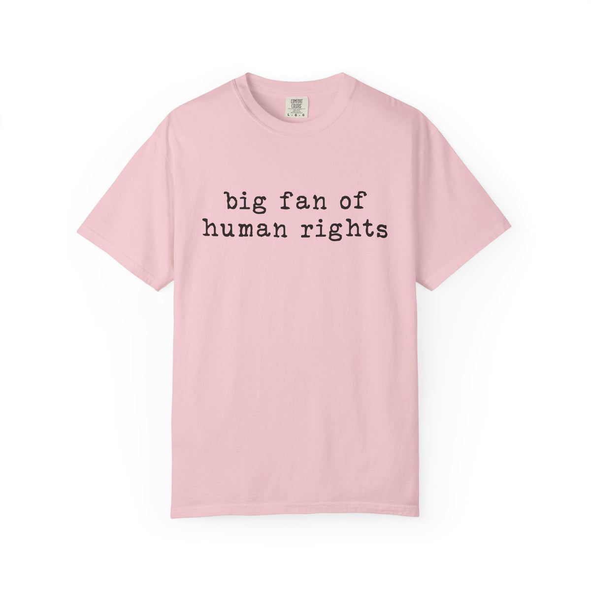 Big Fan of Human Rights T-Shirt