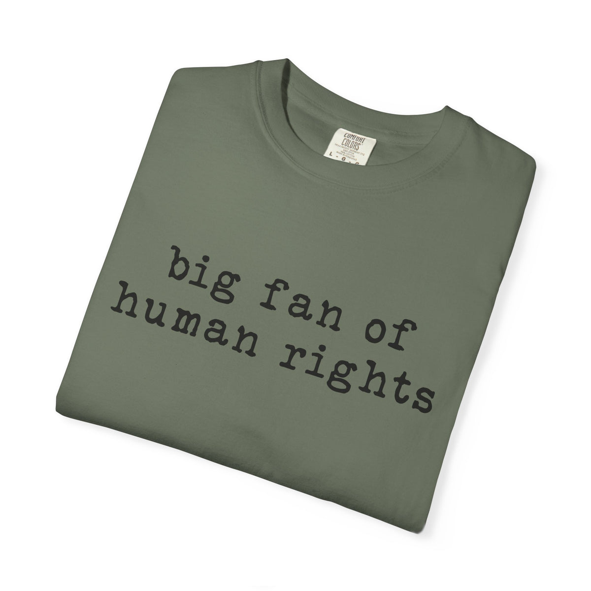 Big Fan of Human Rights T-Shirt