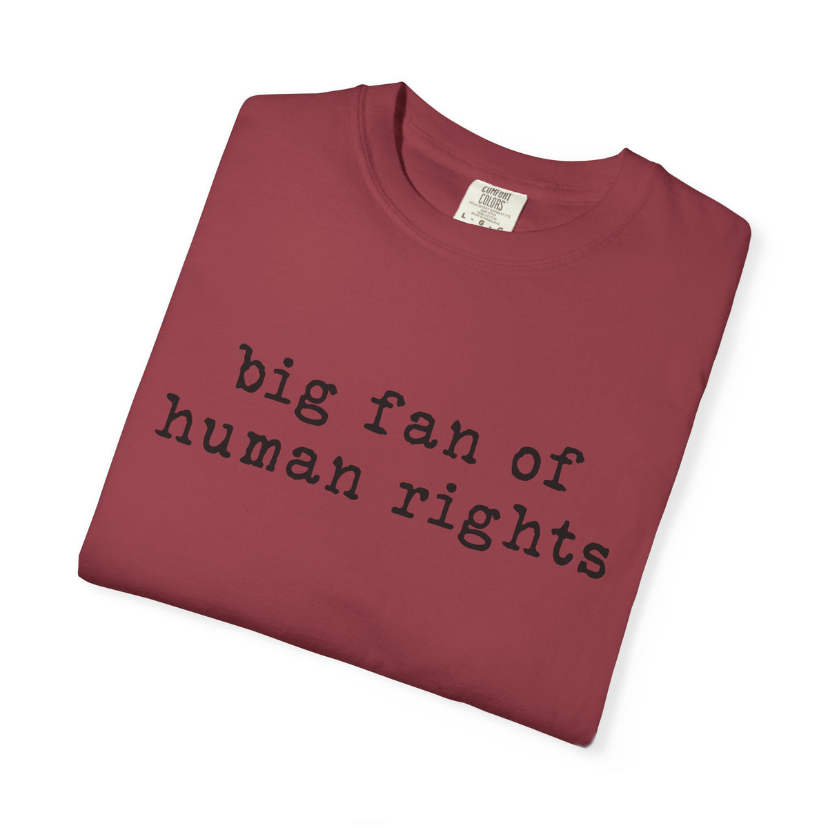 Big Fan of Human Rights T-Shirt