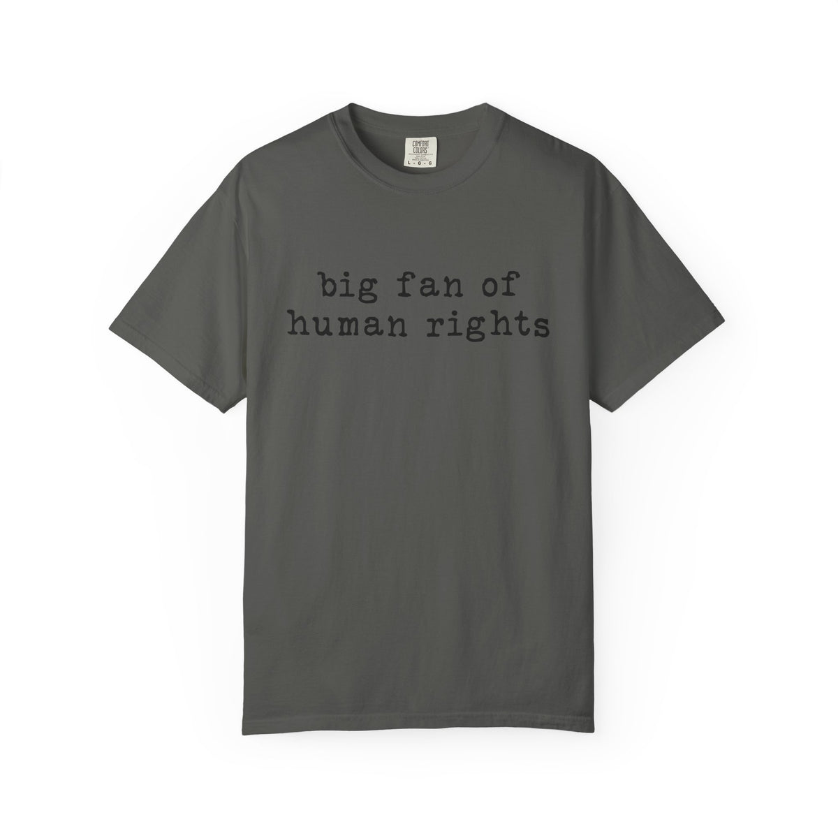 Big Fan of Human Rights T-Shirt